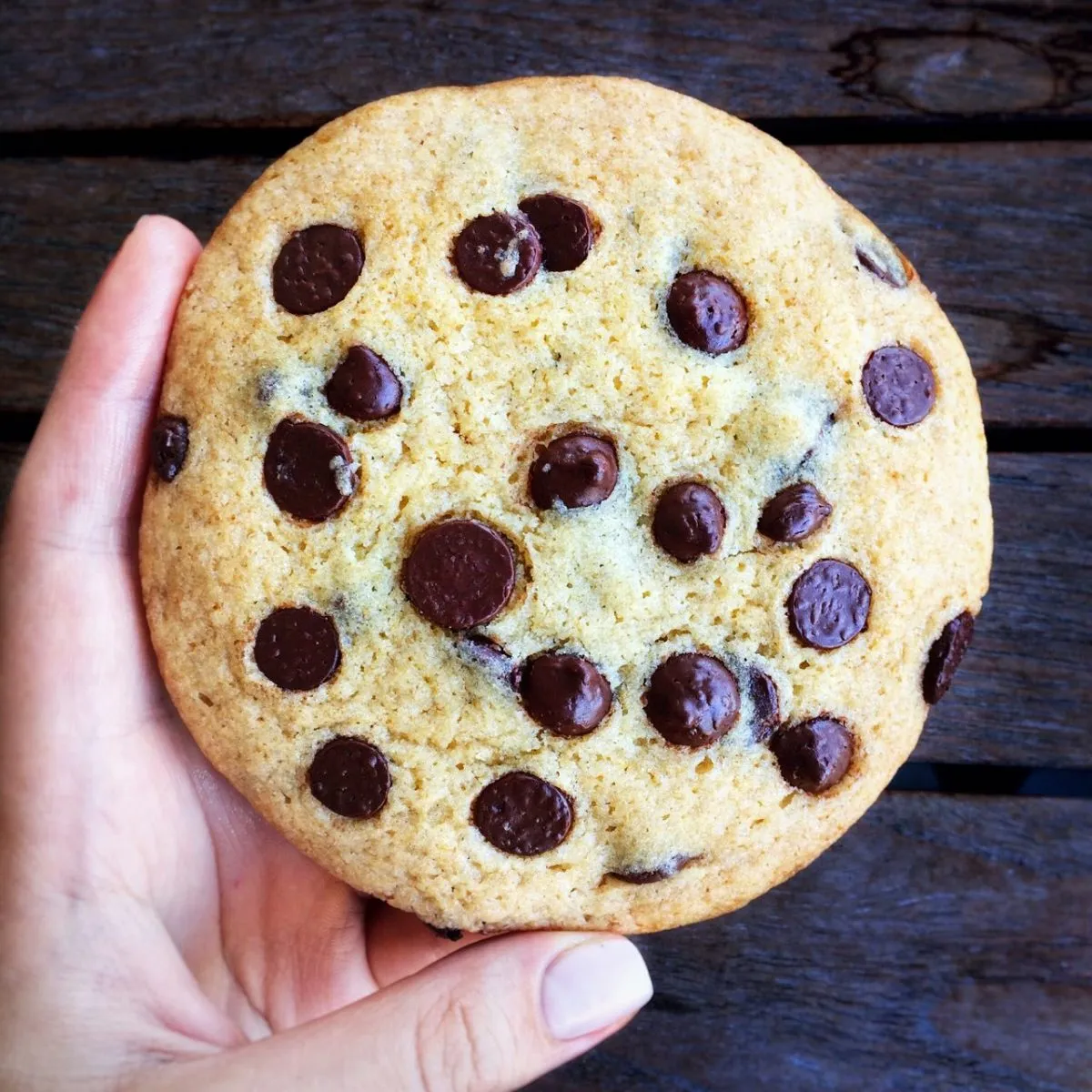 Американские жевательные печеньки с шоколадом